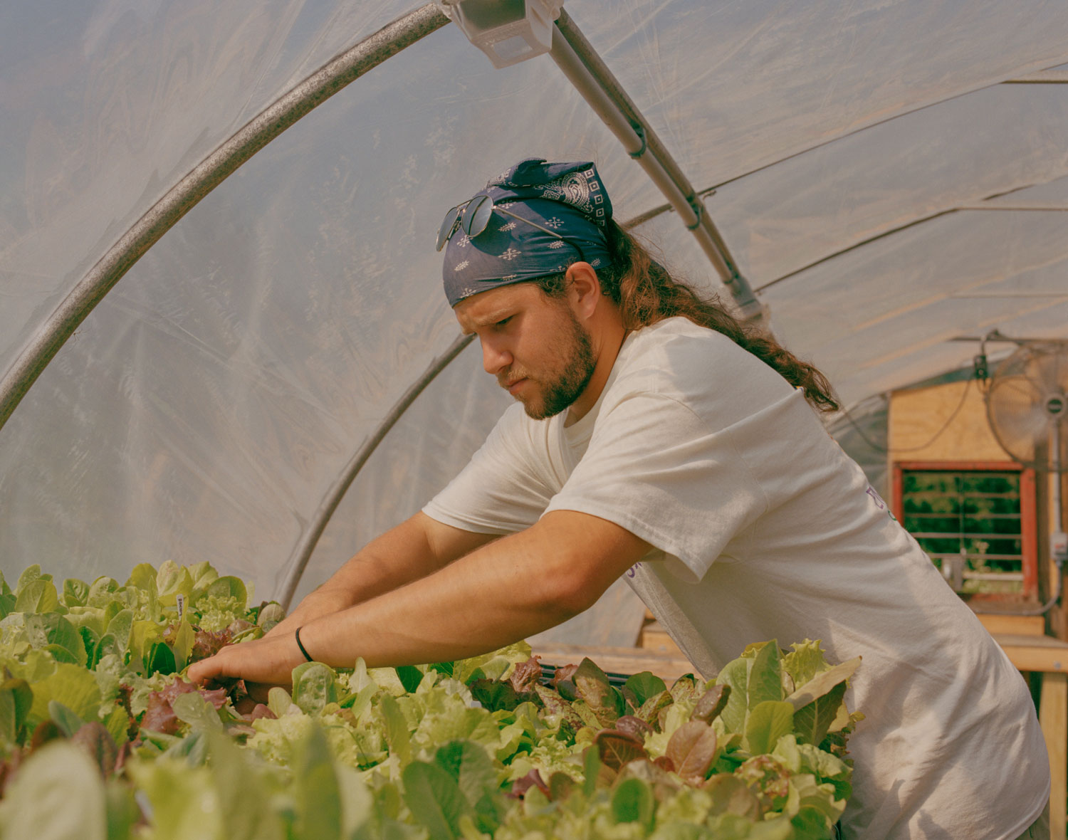 Going on five years clean, Jay, pictured above, largely manages the work on Hope Farm. He first started using because he wanted to “hang out with the older crowd.” “The first thing that came my way was drugs, and that was my release,” Jay said. “I just held onto it. Eventually, it progressed into opiates.”