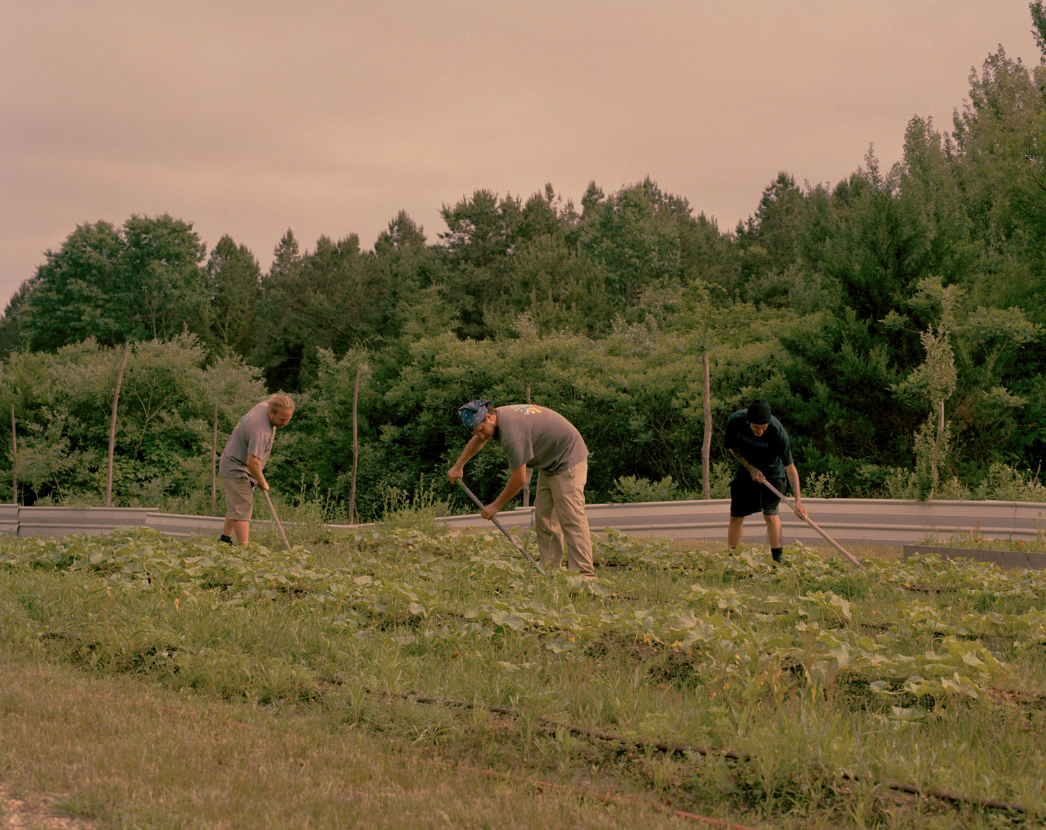 “The main reason why I love my job the most is because I’m part of something that’s way bigger than I am,” Jay, who is also in charge of the maintenance and grounds for the main campus and detox facility, said. “And it’s not just the farm… I get to see all the moving parts. And it’s so huge: the importance of being part of something.”